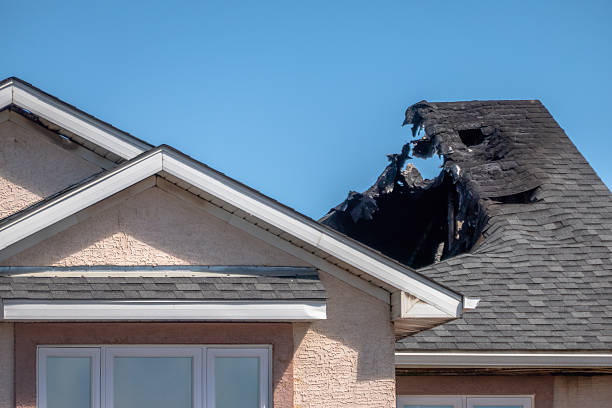 Top rated local Board Up Services specialists in Jackson, WI